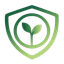NewLifeSMP